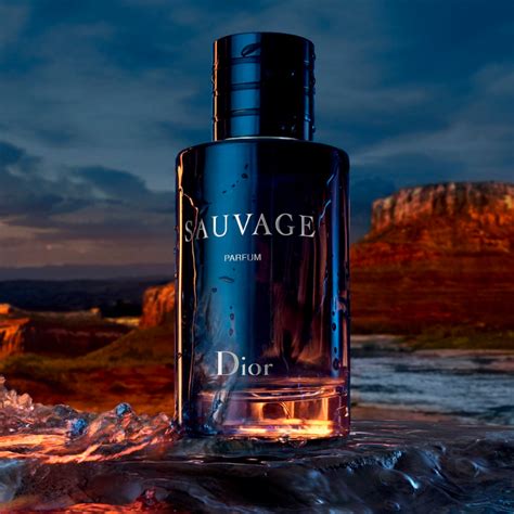 dior sauvage kerst|Dior Sauvage fragrance.